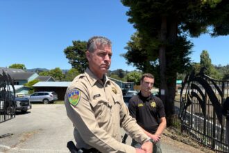 Humboldt County sheriff tells DEA illicit cannabis market thriving despite legalization