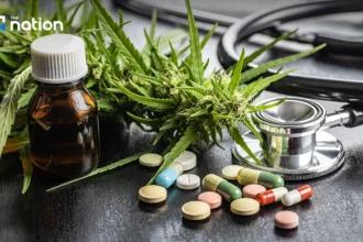 Thailand eyes medical cannabis as US eases restrictions