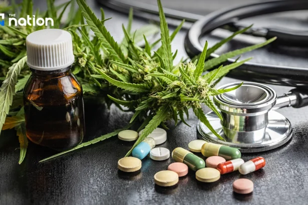 Thailand eyes medical cannabis as US eases restrictions