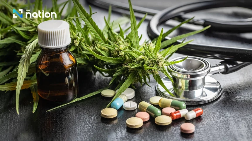 Thailand eyes medical cannabis as US eases restrictions