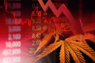 Why Is the Market Watching Canopy Growth? (NASDAQ:CGC)