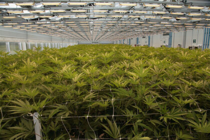 Summit to help hemp and cannabis move into mainstream economy