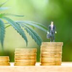 Tilray Brands, in Focus Across Canada’s Cannabis And Consumer Pr