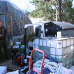 Chinese Gangsters Turned This California Paradise into a Marijuana Factory