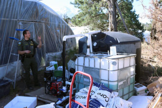 Chinese Gangsters Turned This California Paradise into a Marijuana Factory