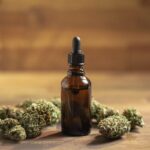 CBD in the Netherlands: uses, benefits, legality, and where to buy