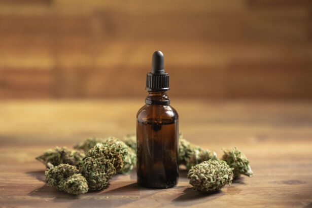CBD in the Netherlands: uses, benefits, legality, and where to buy