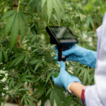 New national study links state-issued cannabis QR codes with greater consumer trust and confidence