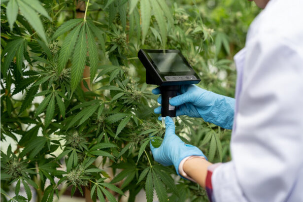 New national study links state-issued cannabis QR codes with greater consumer trust and confidence