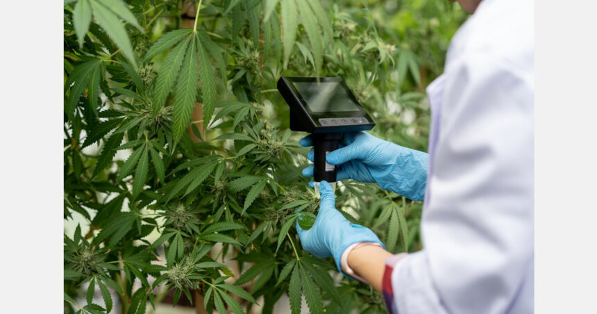 New national study links state-issued cannabis QR codes with greater consumer trust and confidence