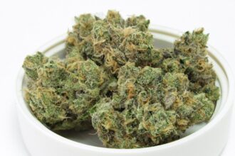 What is ‘living soil’ weed and why does it rule?