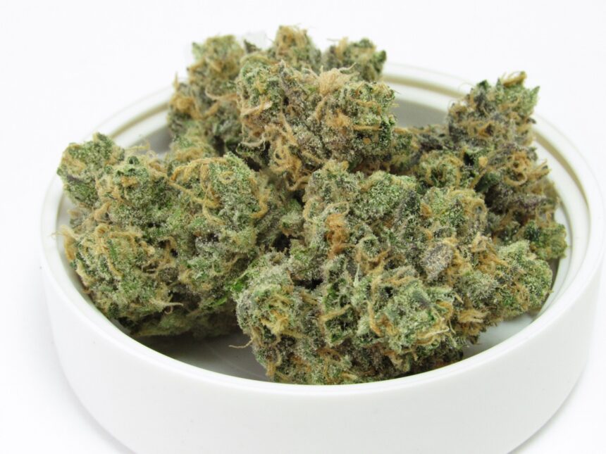 What is ‘living soil’ weed and why does it rule?
