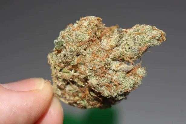 Top Pennsylvania GOP Senator Says State Needs ‘National Direction’ Before It Can Legalize Marijuana