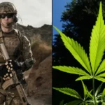 VA Would Be Required To Study Medical Marijuana’s Benefits For Veterans With PTSD And Pain Under New Congressional Bill