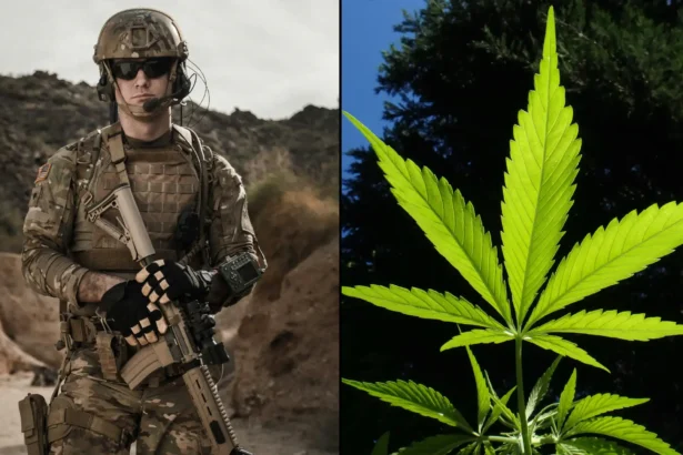 VA Would Be Required To Study Medical Marijuana’s Benefits For Veterans With PTSD And Pain Under New Congressional Bill