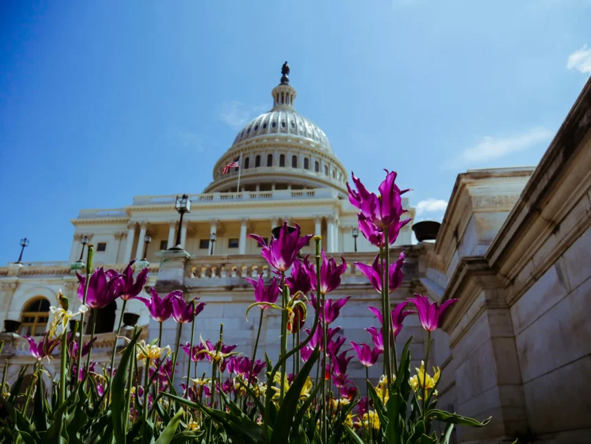 US Hemp Industry Wins a Stay of Execution as Senate Delays Ban Until December