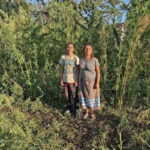 LaDuke decries ‘punishing … gyrations’ of federal hemp policy – Park Rapids Enterprise