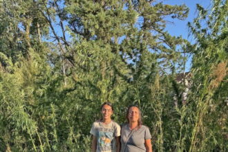LaDuke decries ‘punishing … gyrations’ of federal hemp policy – Park Rapids Enterprise