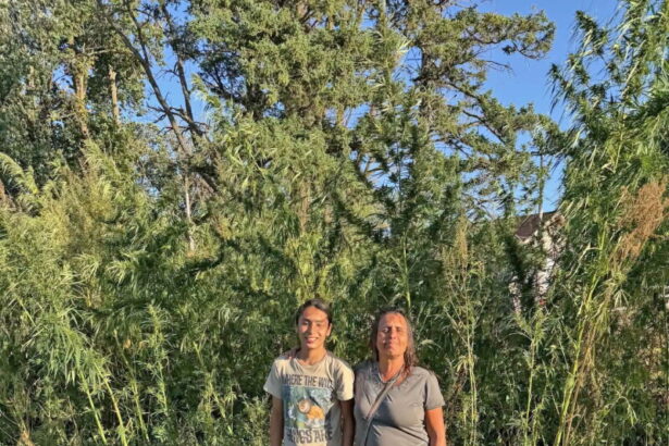 LaDuke decries ‘punishing … gyrations’ of federal hemp policy – Park Rapids Enterprise