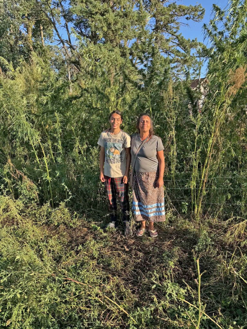 LaDuke decries ‘punishing … gyrations’ of federal hemp policy – Park Rapids Enterprise
