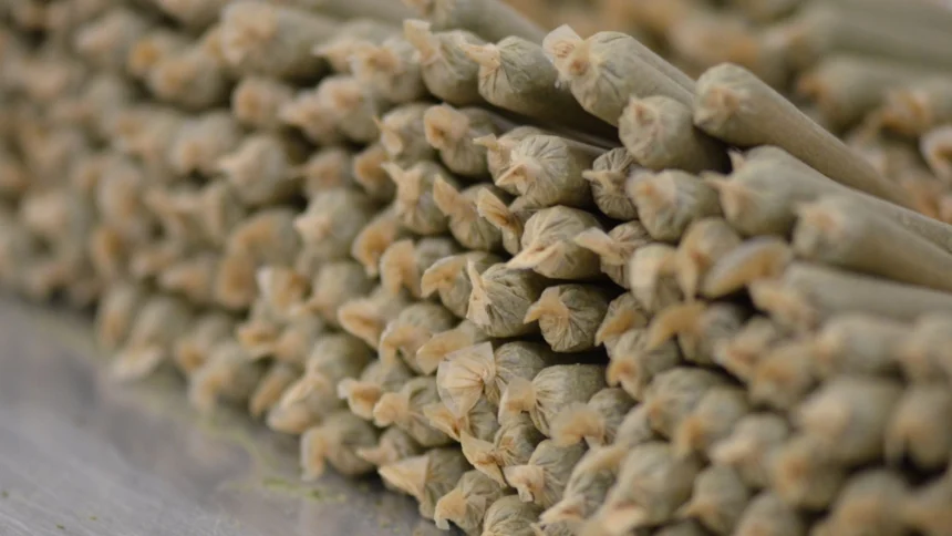 Pre-rolls overtake flower as top-selling cannabis product in the US