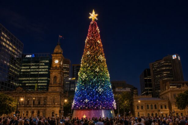 New Christmas tree to light up Adelaide CBD