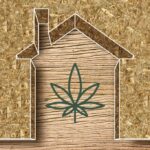 Hempcrete homes: how cannabis waste could fuel the green building movement