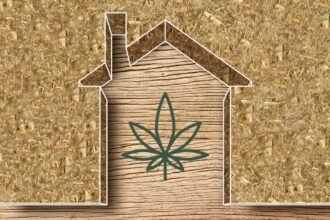 Hempcrete homes: how cannabis waste could fuel the green building movement