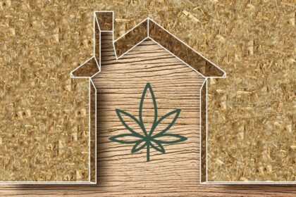 Hempcrete homes: how cannabis waste could fuel the green building movement