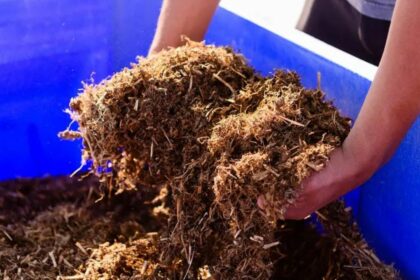 Texas hemp farmers worried about proposed THC ban