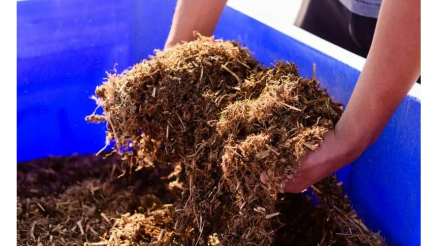 Texas hemp farmers worried about proposed THC ban