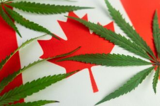 Canada’s legal cannabis system has access problem