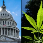 Hemp THC Drink Company Lets Customers Buy A 6-Pack For Their Congressional Lawmakers As Federal Prohibition Looms