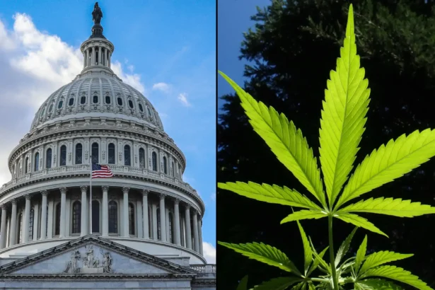 Hemp THC Drink Company Lets Customers Buy A 6-Pack For Their Congressional Lawmakers As Federal Prohibition Looms