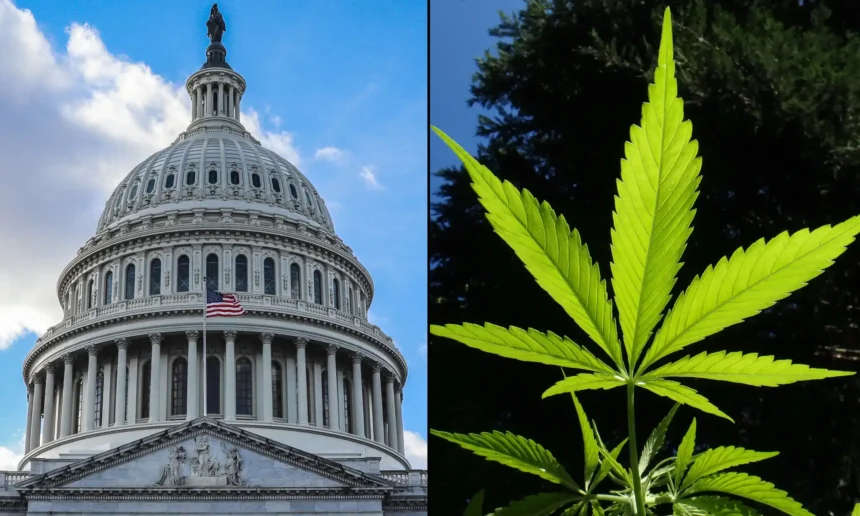 Hemp THC Drink Company Lets Customers Buy A 6-Pack For Their Congressional Lawmakers As Federal Prohibition Looms